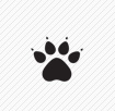 kelme dog paw logo