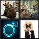 4 pics 1 movie level 5 solution bears and male sign