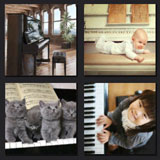 cats, piano, baby