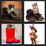 photos with cats in boots