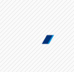 All nippon airways blue shape logo answer