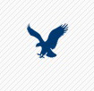 blue eagle logo quiz answers
