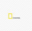 National Geographic yellow rectangle logo