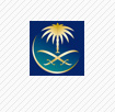 saudi arabian airlines blue square logo inside