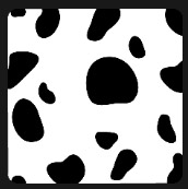black and white spots quiz