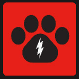 dog pow with white lightning movie