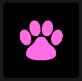 big pink poq quiz icon