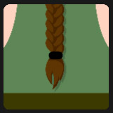 braided tail brown hair quiz