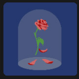 red rose in the light quiz