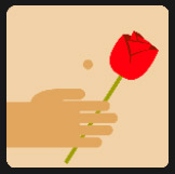 film with one hand holding one red rose quiz