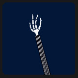 skeletons hand character holiday quiz