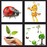 4 pics 1 movie answer, plant, nature, ladybug