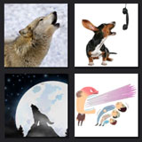 4 pics 1 movie, dog, wolf
